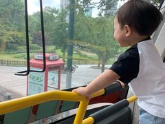 -BUS TOUR观光巴士