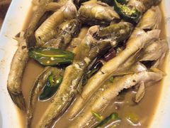 -木柴豆腐·活海鲜·鲁菜(岚山路店)