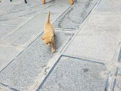 -知亘茶食