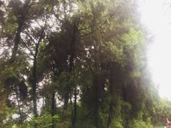 -金堂县云顶石城风景区