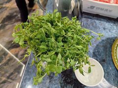 -百草滩羊清水涮羊肉·清真·宁夏盐池滩羊(莲花桥店)