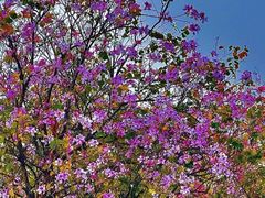 -广东工业大学(大学城校区)