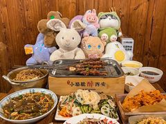 -福苗小骆驼烧烤(莲湖路店)