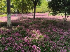 -杭州城北体育公园