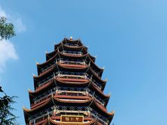 -铁山坪森林公园