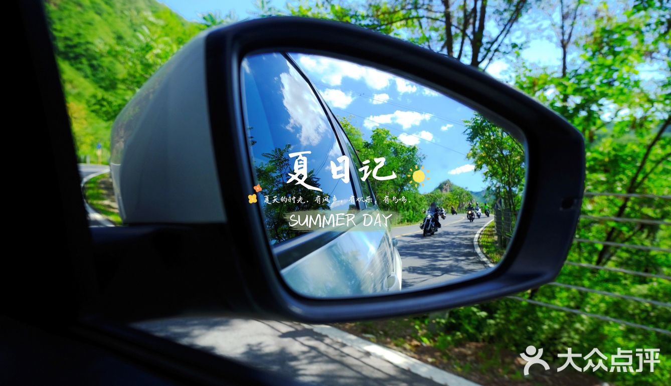 🍃夏日记🍃你爱上温热的空气了吗❓