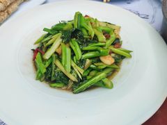 油渣炒广东菜心-赵小姐丨新中餐(曲江店)