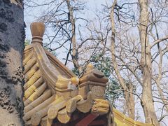 -北极阁公园