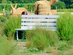 -中国天府农业博览园