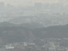 -虎门美思威尔顿酒店(海之光自助餐)