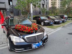 -蚂蚁婚车