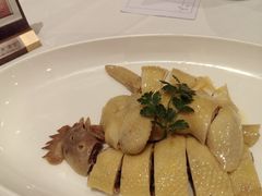 -金河半岛园林酒家(金融城店)