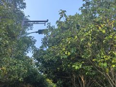 -瑞安圣井山景区