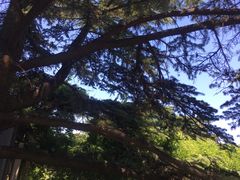 -国家植物园南园