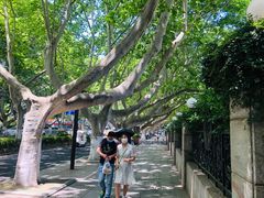 -南京维景国际大酒店(南京博物院店)