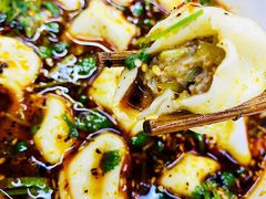酸汤牛肉水饺-回坊马二饺子馆