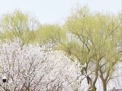 -颐和园
