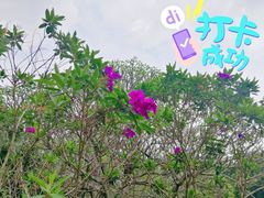 -晓港公园