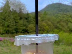 -老山国家森林公园