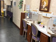 -宠爱国际动物医院· 猫科· 外科·中兽医(长白店)