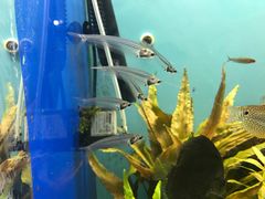 -多彩贵州城极地海洋世界