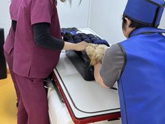 -美联众合动物医院·24h转诊中心