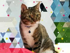 -肯德基(常熟百润发店)