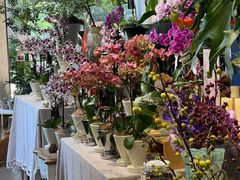 -弗劳尔花艺坊(龙涛店)