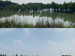 -南湖湿地公园