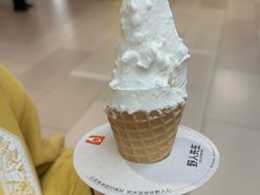 -野人先生现做冰淇淋(北京环宇荟店)