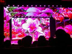 android_upload_pic-大舞台剧场