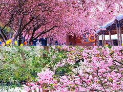 -大鹏饭店·金陵家宴(奥体中心店)