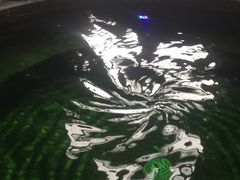 -泉城欧乐堡戏水湾艺术养生温泉