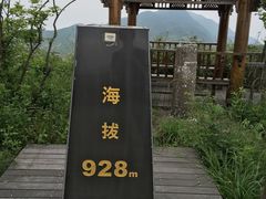 -江南天池