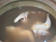 -石岐鸽师傅餐厅(石岐总店)