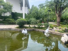 -广富林宰相府酒店·水云间