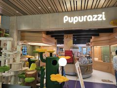 -帕帕拉兹宠物(亚洲旗舰店)