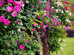 -西山漾湿地公园