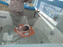 -妍悦母婴月子会所(武汉天地店)