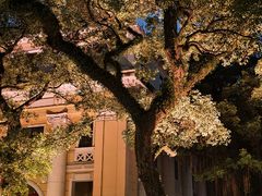 -广州白天鹅宾馆