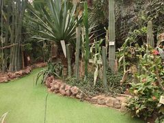 -呀路古热带植物园