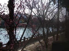 -望江楼公园