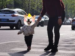 -成都阿姨到家月嫂育儿嫂(华西店)