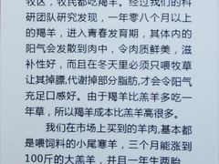-蒙古人烤羊大师·绿野餐厅(工农大路店)