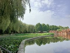 -裕华世纪公园