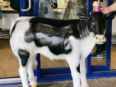 -Dooley's Premium Ice Cream