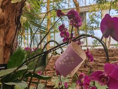 -石家庄市植物园