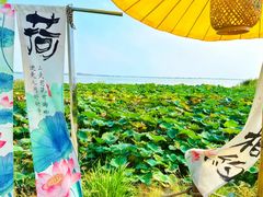 -七的湖·晚芳亭·阳澄湖农家菜·大闸蟹(莲花岛店)