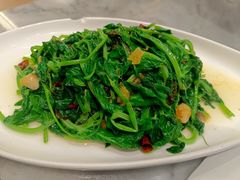 -滇铺子·云南特色菜·第九届野生菌美食节(曲靖万达店)