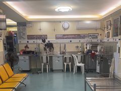 -动物缘宠物医院·骨科·猫科(西二环店)